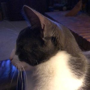 Meet your Posher, Carole